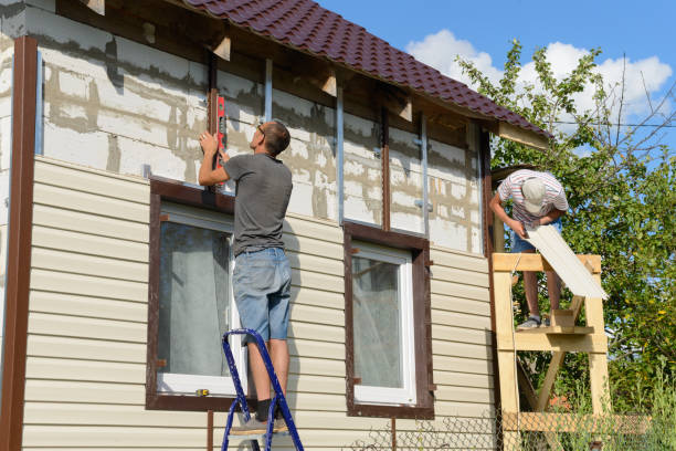 Best Fascia and Soffit Installation  in Beaverton, MI